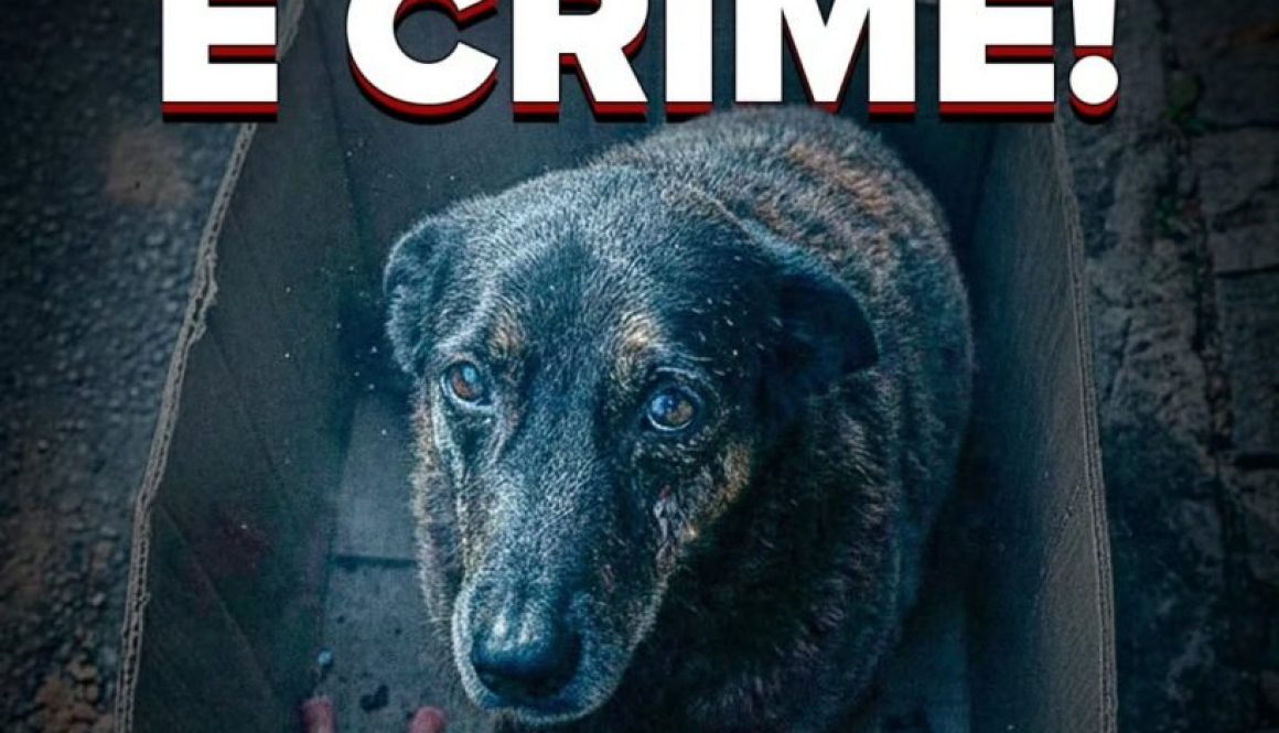 instagram-1769803463267-9ga48h-0