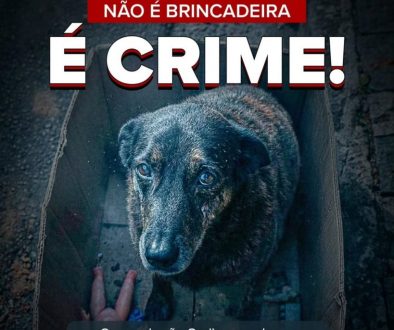 instagram-1769803463267-9ga48h-0